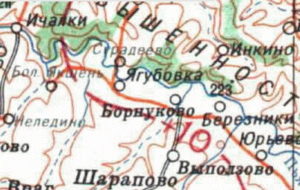 Село Борнуково карта