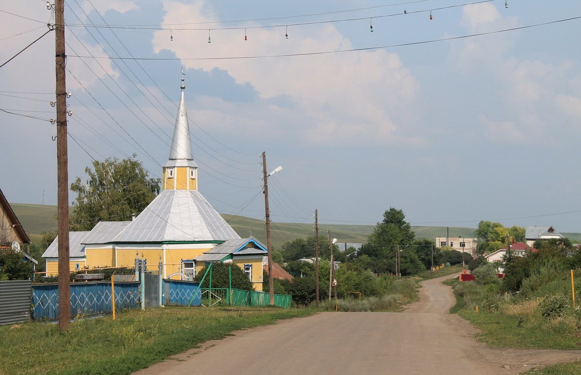село Ендовищи (Яндавишча авылы) фото и видео