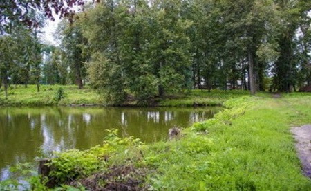 Парк Филатовых пруд